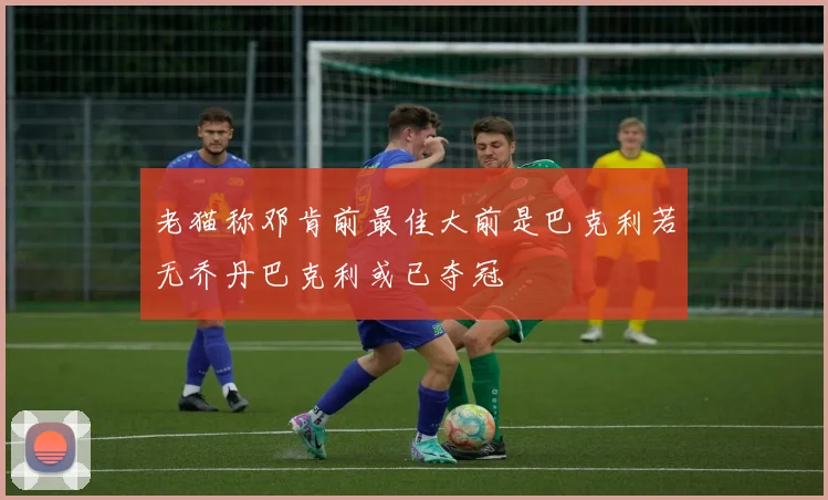老猫称邓肯前最佳大前是巴克利若无乔丹巴克利或已夺冠