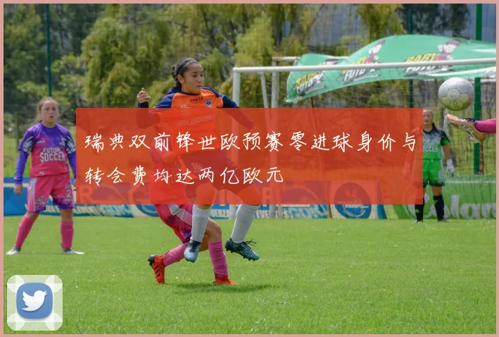 瑞典双前锋世欧预赛零进球身价与转会费均达两亿欧元